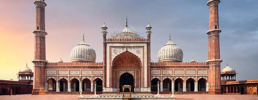 Best of Old & New Delhi in 8 Hours Tour